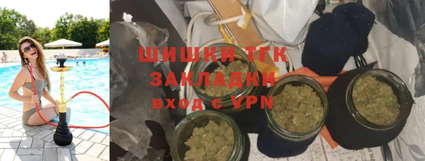 apvp Бородино