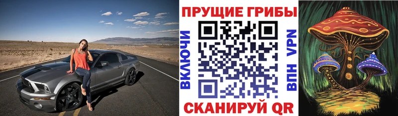 сайты даркнета состав  Новомосковск  Псилоцибиновые грибы Psilocybe 